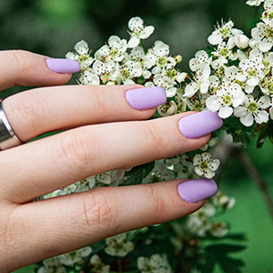 Taro Bunny Nails & SPA gallery